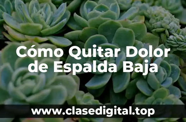 Cómo Quitar Dolor de Espalda Baja