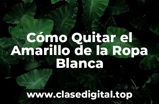Cómo Quitar el Amarillo de la Ropa Blanca