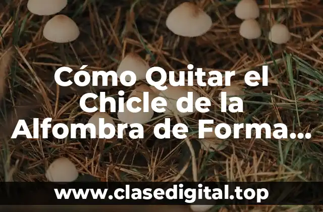 Cómo Quitar el Chicle de la Alfombra de Forma Segura y Efectiva