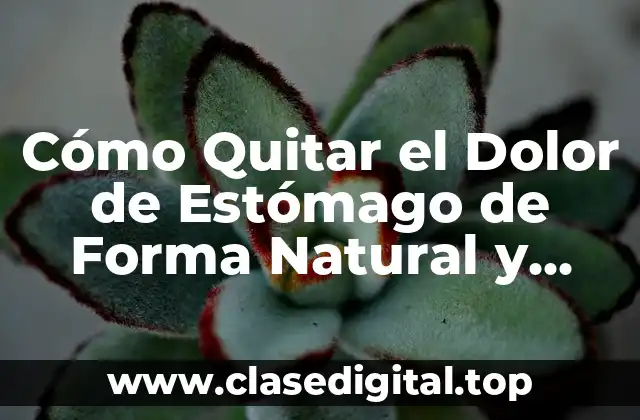 Cómo Quitar el Dolor de Estómago de Forma Natural y Rápida