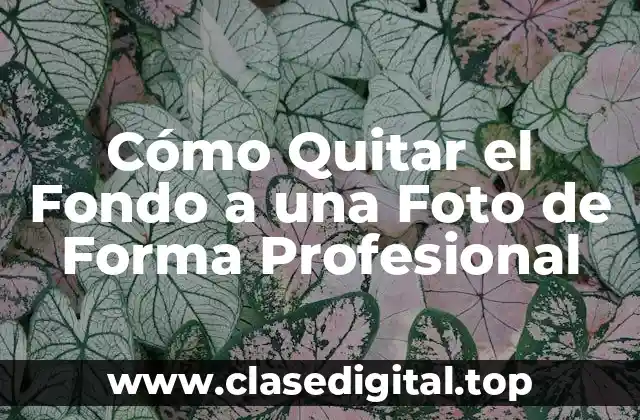 Cómo Quitar el Fondo a una Foto de Forma Profesional