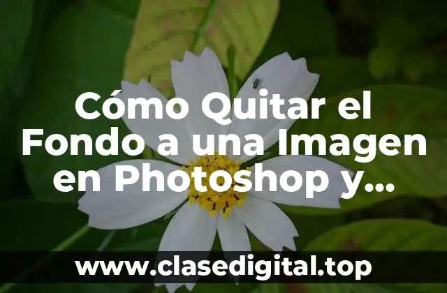 Cómo Quitar el Fondo a una Imagen en Photoshop y Otros Programas