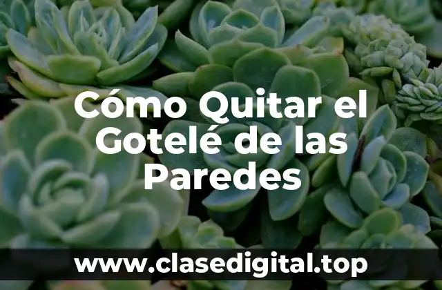 Cómo Quitar el Gotelé de las Paredes