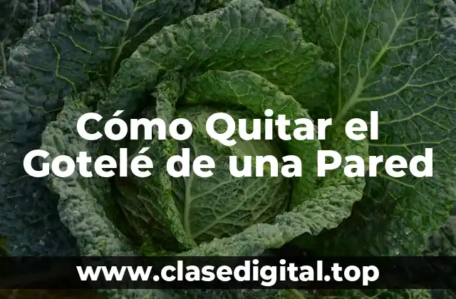 Cómo Quitar el Gotelé de una Pared