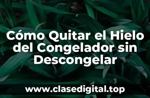 Por qué es Importante Quitar el Hielo del Congelador