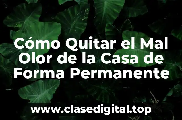Cómo Quitar el Mal Olor de la Casa de Forma Permanente