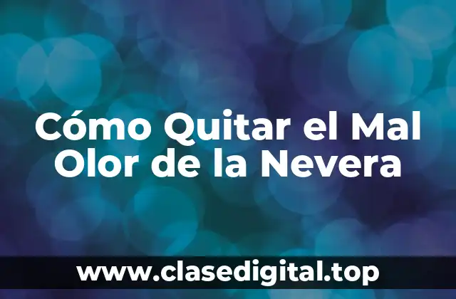 Causas del Mal Olor de la Nevera