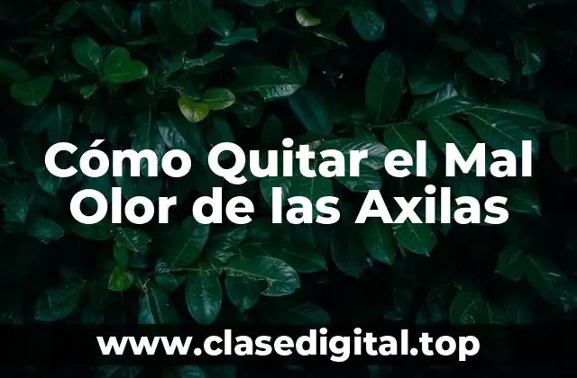 Cómo Quitar el Mal Olor de las Axilas