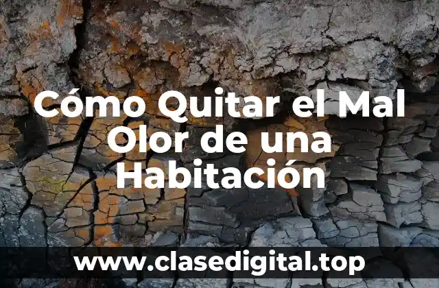 Cómo Quitar el Mal Olor de una Habitación