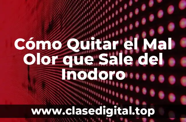 Cómo Quitar el Mal Olor que Sale del Inodoro