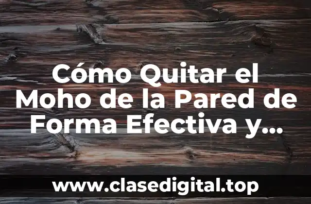 Cómo Quitar el Moho de la Pared de Forma Efectiva y Segura