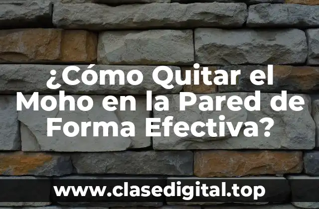 ¿Por qué es Importante Quitar el Moho en la Pared?