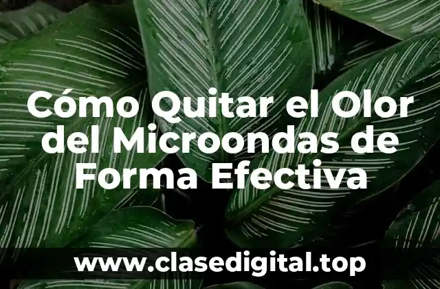 Cómo Quitar el Olor del Microondas de Forma Efectiva