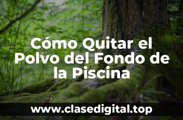 Causas del Polvo en el Fondo de la Piscina