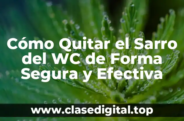 Cómo Quitar el Sarro del WC de Forma Segura y Efectiva