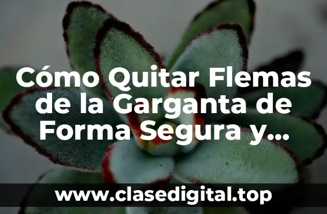 Cómo Quitar Flemas de la Garganta de Forma Segura y Efectiva