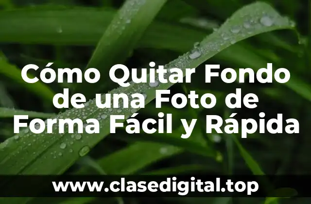 ¿Por Qué Quitar Fondo de una Foto es Importante?