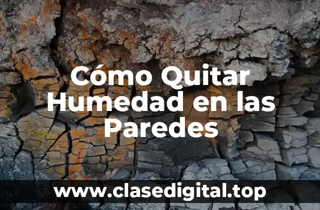 Cómo Quitar Humedad en las Paredes