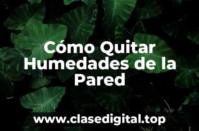 Cómo Quitar Humedades de la Pared