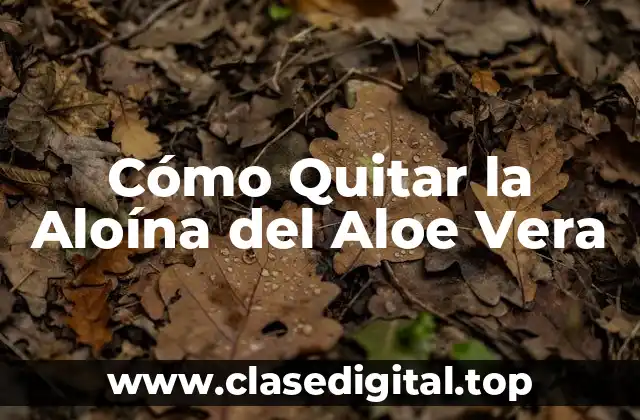 Cómo Quitar la Aloína del Aloe Vera