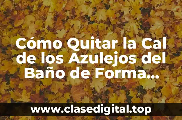 Cómo Quitar la Cal de los Azulejos del Baño de Forma Eficiente