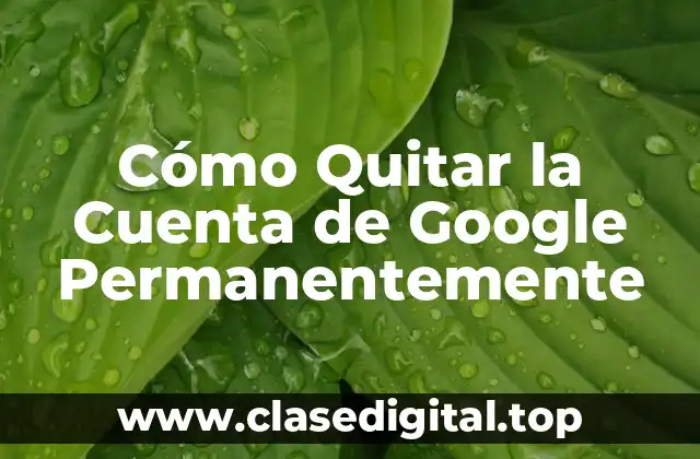Cómo Quitar la Cuenta de Google Permanentemente