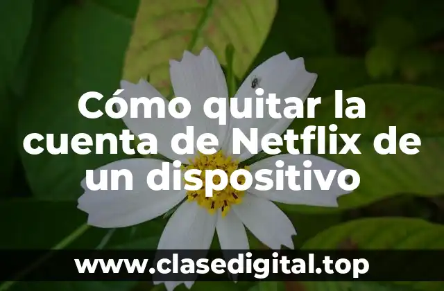 Cómo quitar la cuenta de Netflix de un dispositivo