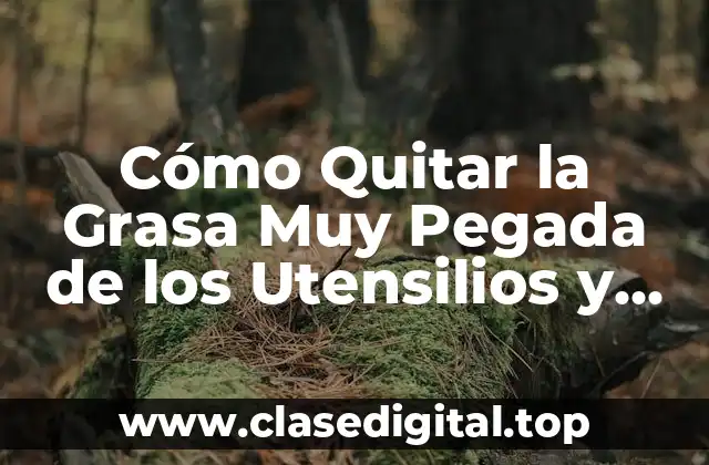 Cómo Quitar la Grasa Muy Pegada de los Utensilios y Sartenes