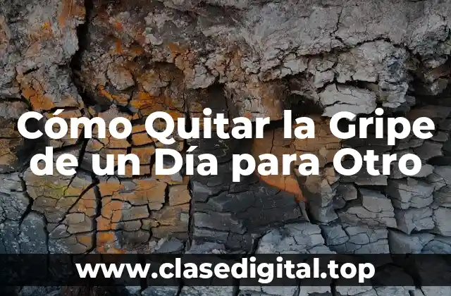 Cómo Quitar la Gripe de un Día para Otro