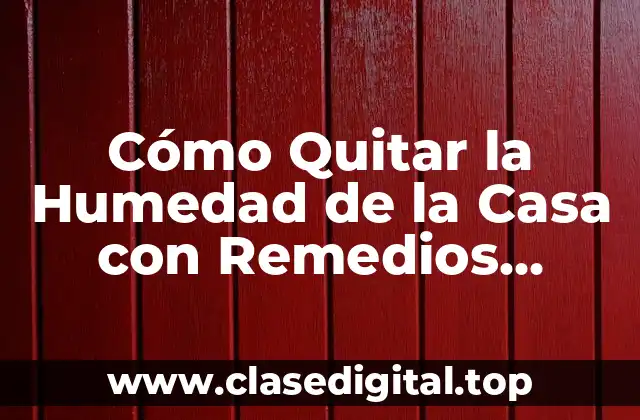 Cómo Quitar la Humedad de la Casa con Remedios Caseros