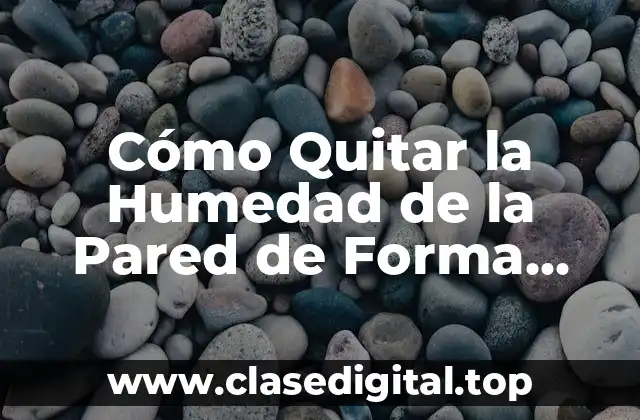 Cómo Quitar la Humedad de la Pared de Forma Efectiva