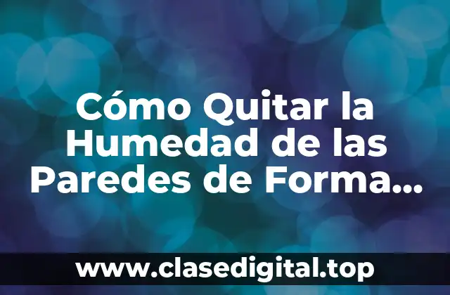 Cómo Quitar la Humedad de las Paredes de Forma Efectiva