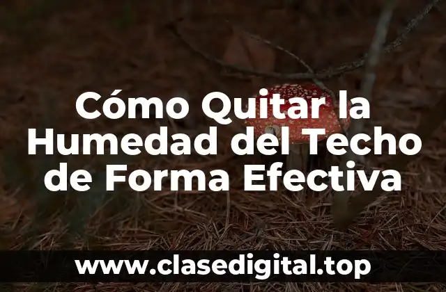 Cómo Quitar la Humedad del Techo de Forma Efectiva