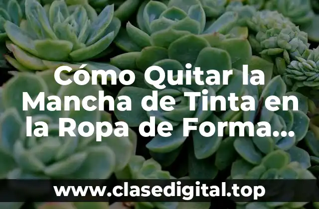 Cómo Quitar la Mancha de Tinta en la Ropa de Forma Eficiente