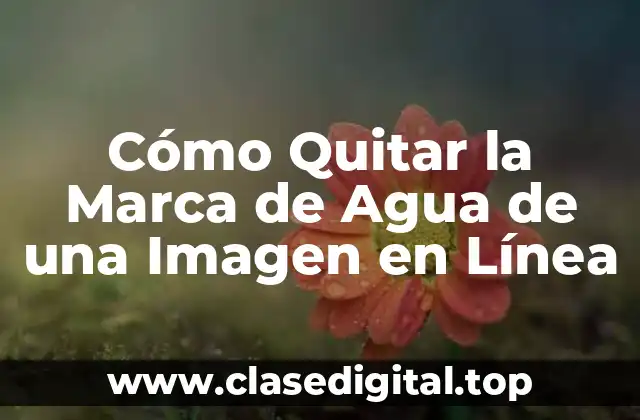 Cómo Quitar la Marca de Agua de una Imagen en Línea