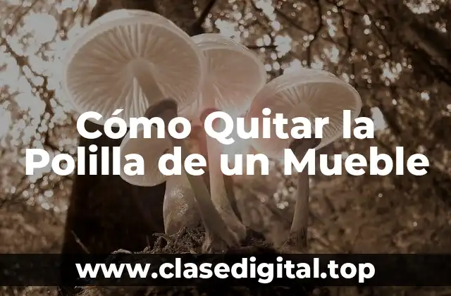 Cómo Identificar la Polilla en un Mueble