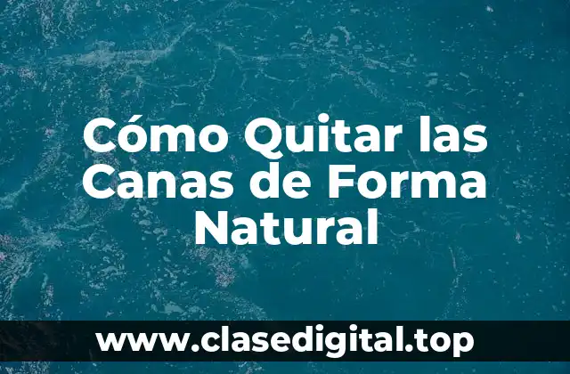 Cómo Quitar las Canas de Forma Natural