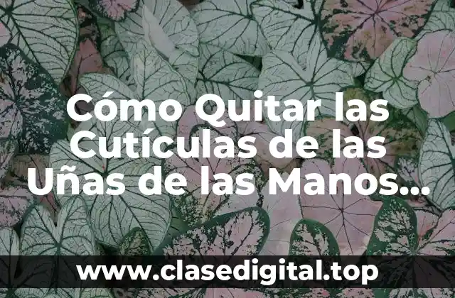 ¿Por qué es Importante Quitar las Cutículas de las Uñas de las Manos?