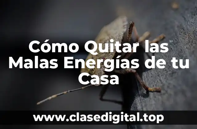 Cómo Quitar las Malas Energías de tu Casa