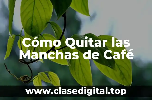 Cómo Quitar las Manchas de Café