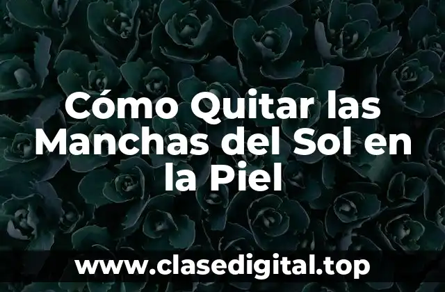 Causas de las Manchas del Sol