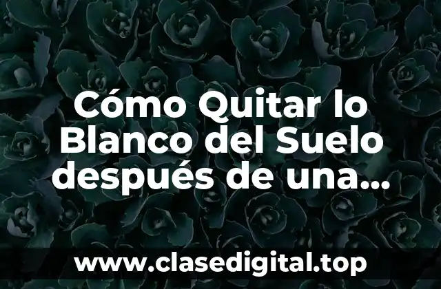 Cómo Quitar lo Blanco del Suelo después de una Obra