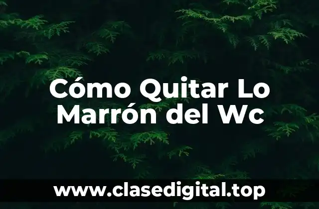 Cómo Quitar Lo Marrón del Wc