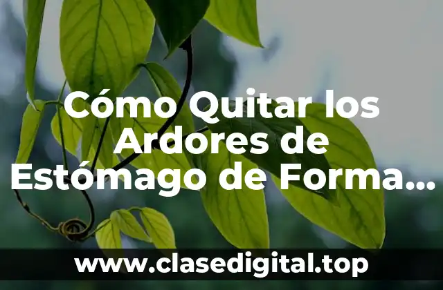 Cómo Quitar los Ardores de Estómago de Forma Natural y Efectiva