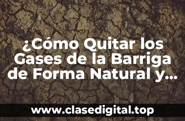 ¿Cómo Quitar los Gases de la Barriga de Forma Natural y Rápida?