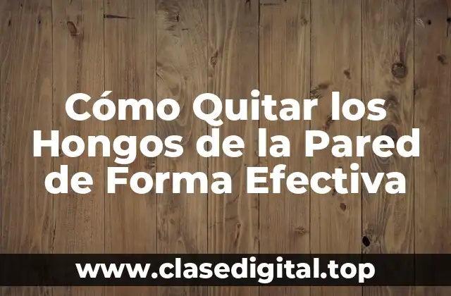 Cómo Quitar los Hongos de la Pared de Forma Efectiva