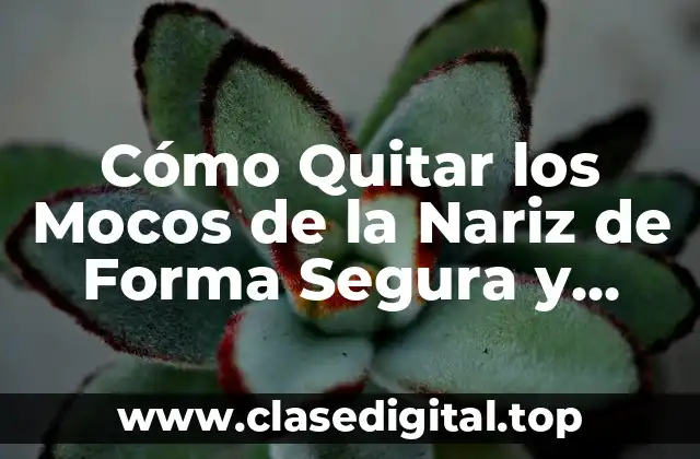 Cómo Quitar los Mocos de la Nariz de Forma Segura y Efectiva