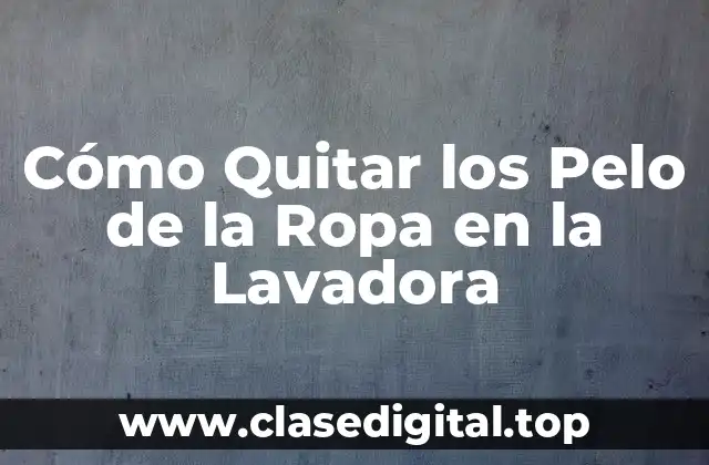 ¿Por qué es Importante Quitar los Pelo de la Ropa en la Lavadora?