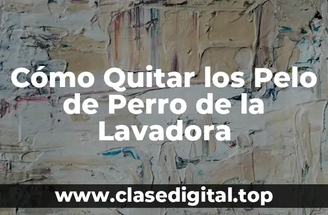 ¿Por qué es Importante Quitar los Pelos de Perro de la Lavadora?