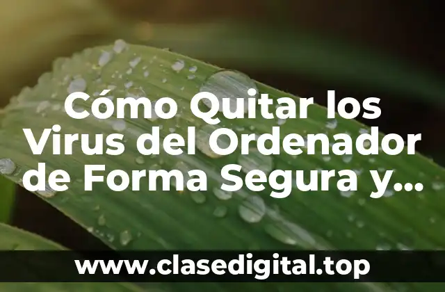 Cómo Quitar los Virus del Ordenador de Forma Segura y Efectiva